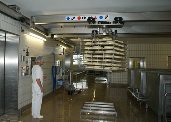 Overhead travelling crane with intermediate structure in cheese production
