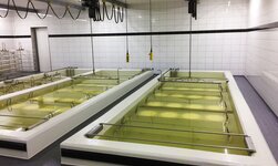 An electric chain hoist made of rust-resistant material is used in food production