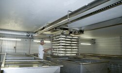 Bridge crane is used in cheese dairy for transporting cheese